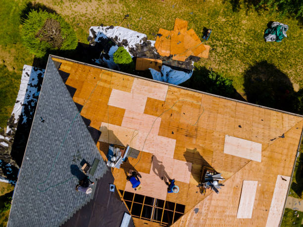 Best Roof Gutter Cleaning  in El Campo, TX